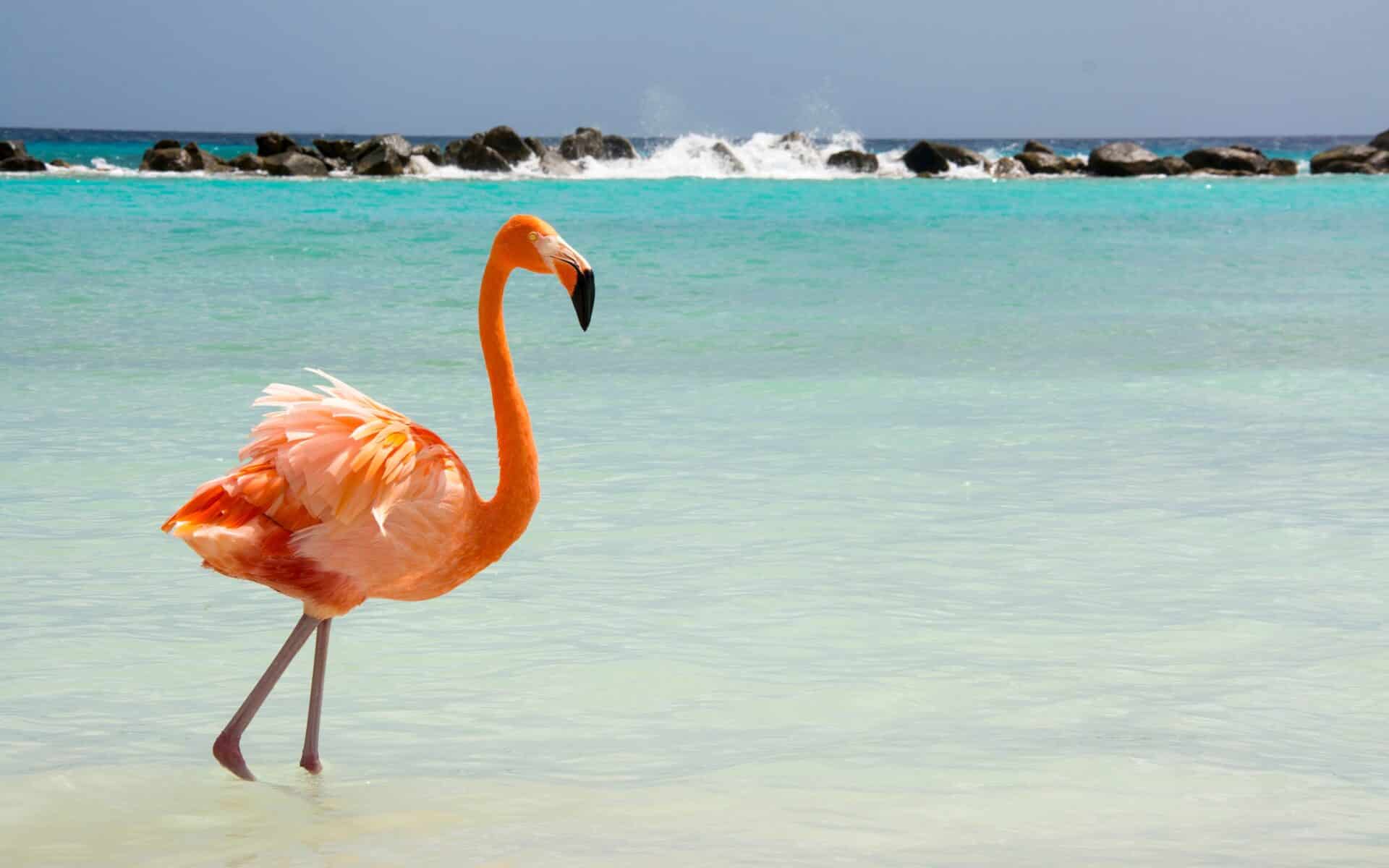 Aruba