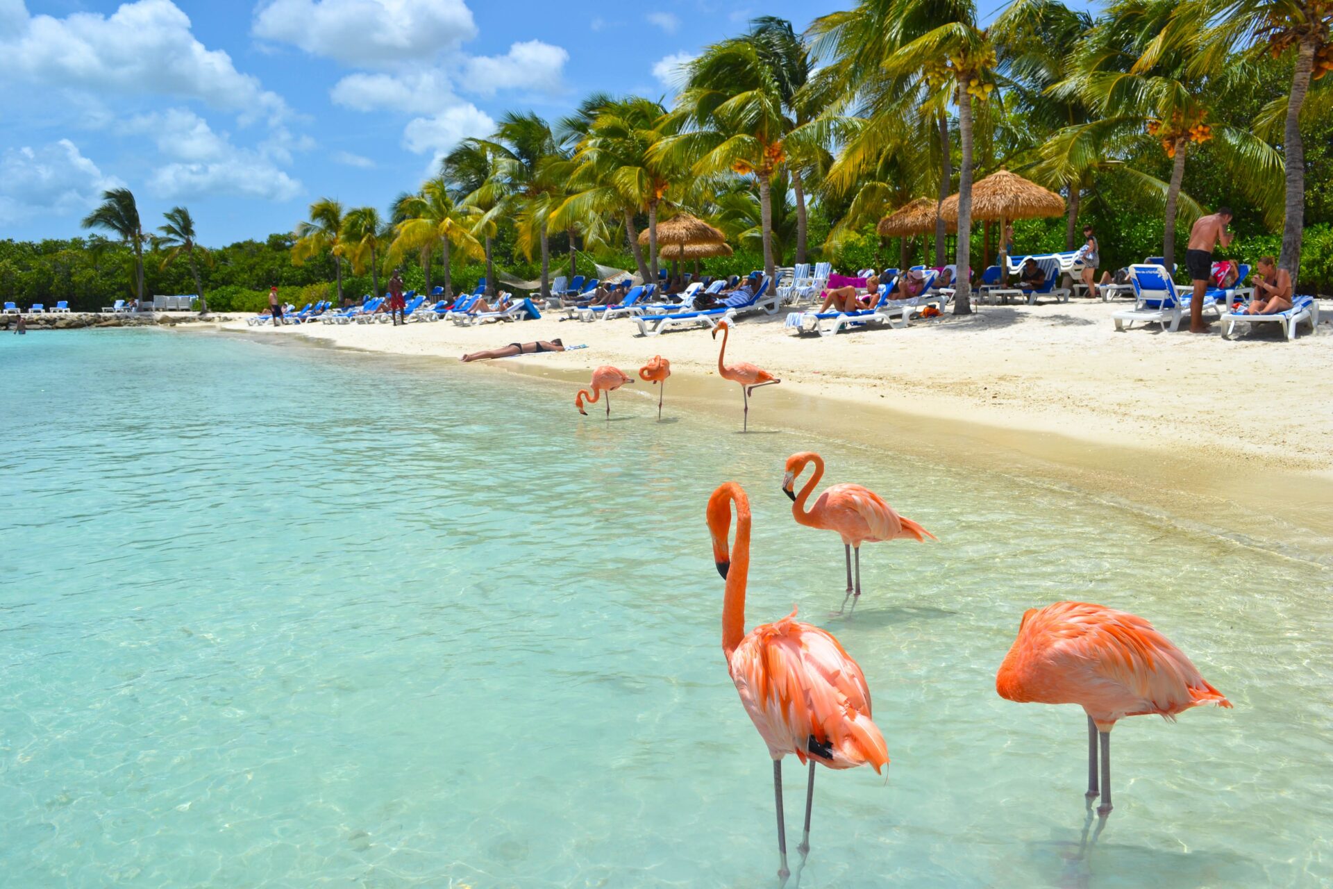 Aruba Beach Experience