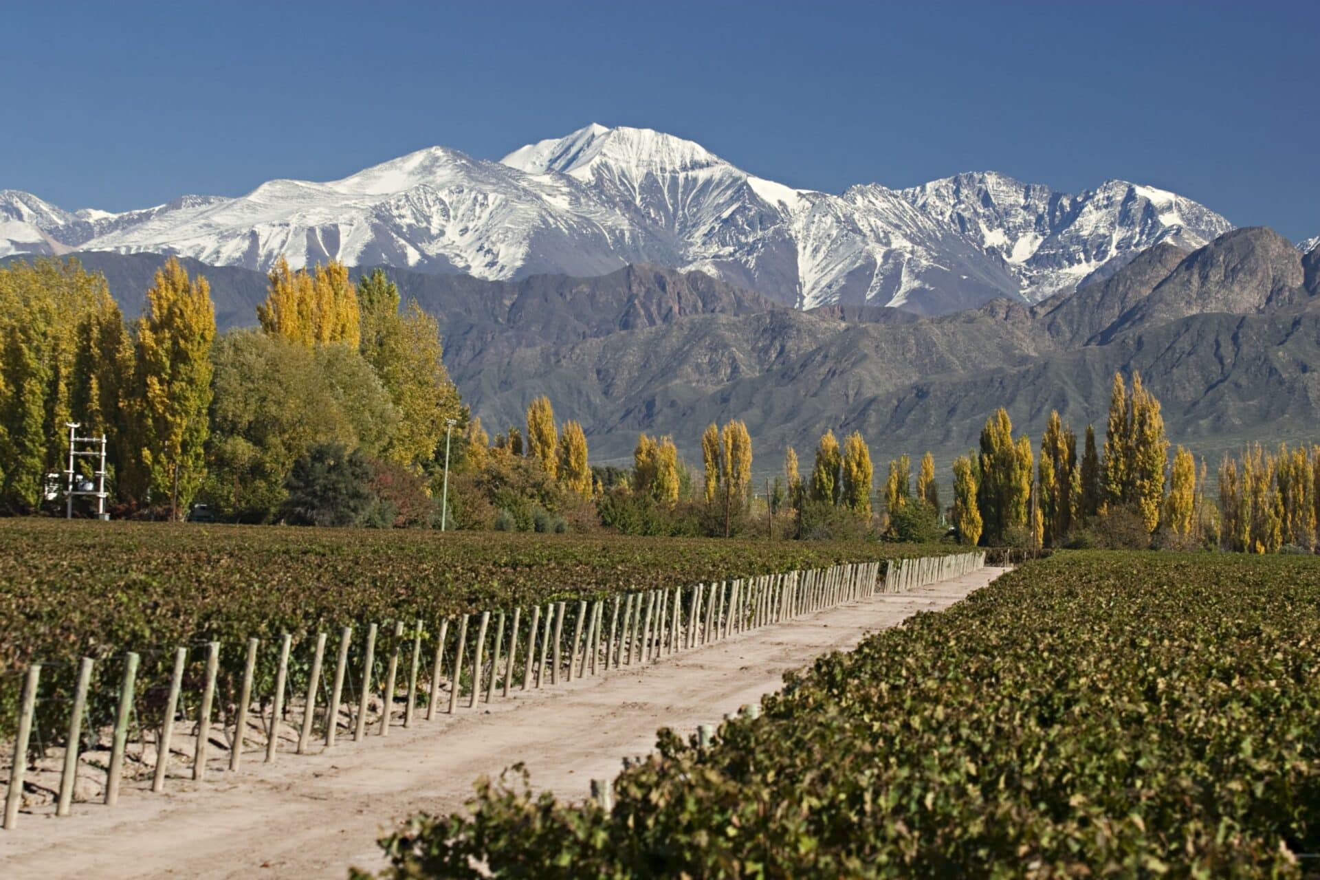 Mendoza con Alta Montaña